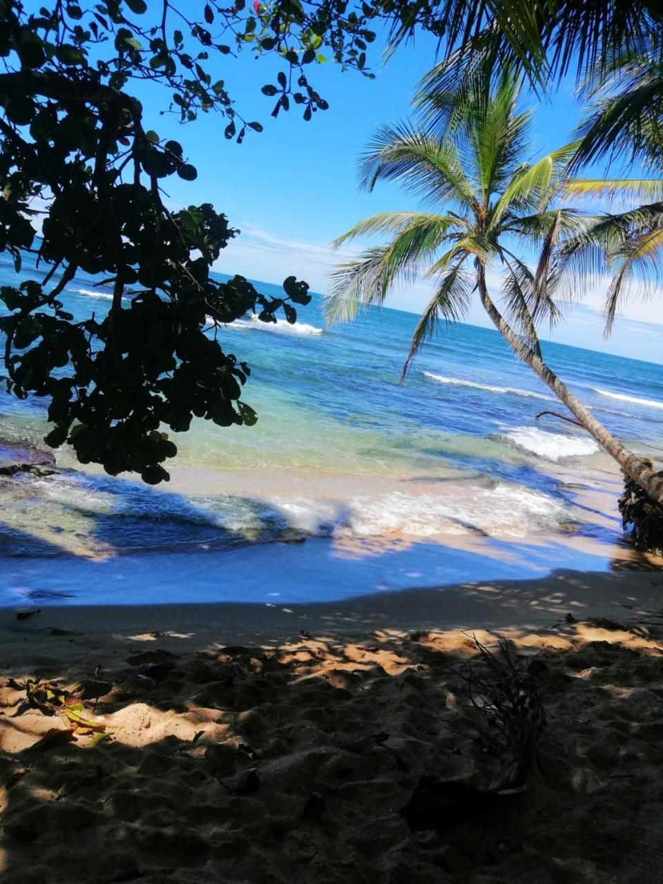 Hotel Boutique D Angelo Manzanillo (Limon) Exterior foto
